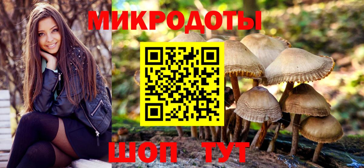 Галлюциногенные грибы GOLDEN TEACHER  Вход с VPN  купить закладку  Бор  Галлюциногенные грибы Magic Shrooms 